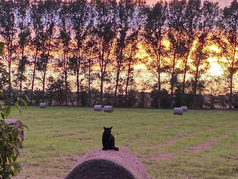 Ferienwohnung Kompass Nahe Der Ostsee Im Gruenen Bad Doberan Exterior photo